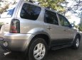 Ford Escape  XLT 2008 - Bán xe Ford Escape XLT sản xuất 2008, màu bạc, giá tốt