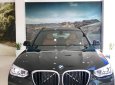 BMW X3 xDrive30i M Sport 2019 - Bán xe BMW X3 xDrive30i M Sport đời 2019, màu đen, nhập khẩu