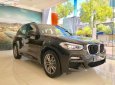 BMW X3 xDrive30i M Sport 2019 - Bán xe BMW X3 xDrive30i M Sport đời 2019, màu đen, nhập khẩu