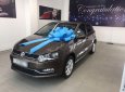 Volkswagen Polo   2017 - Bán Volkswagen Polo đời 2017, màu nâu, nhập khẩu, số tự động