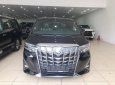 Toyota Alphard Excutive Lounge 3.5 2019 - Bán Toyota Alphard Executive Lounge sản xuất 2019, nhập khẩu châu Âu. Xe giao ngay