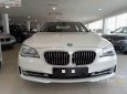 BMW 7 Series 730i 2015 - Bán BMW 7 Series 730i đời 2015, màu trắng, nhập khẩu chính chủ