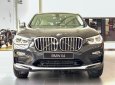BMW X4   xDrive 20i 2019 - Cần bán xe BMW X4 xDrive 20i năm sản xuất 2019, nhập khẩu nguyên chiếc