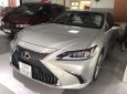 Lexus ES ES250 2018 - Bán Lexus ES 250 sx 2018 đăng ký 2019 màu vàng bạch kim, xe đi đúng 1.700km, bảo hiểm 2 chiều bao kiểm tra tại hãng