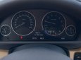 BMW 3 Series   320i   2017 - Bán BMW 3 Series 320i sản xuất 2017, xe nhập 