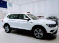 Volkswagen Tiguan 2019 - Bán Volkswagen Tiguan Allspace 2019, màu trắng