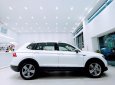 Volkswagen Tiguan 2019 - Bán Volkswagen Tiguan Allspace 2019, màu trắng