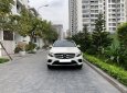 Mercedes-Benz GLC-Class 2017 - Bán Mercedes-Benz GLC 300 sản xuất 2017