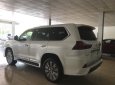 Lexus LX 2019 - Bán Lexus LX570 4 chỗ sản xuất 2019,4 ghế massage, 4 cửa hít, màu trắng, nội thất da bò, xe giao ngay