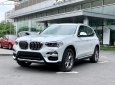 BMW X3 xDrive30i xLine 2019 - Bán BMW X3 xDrive30i xLine 2019, màu trắng, xe nhập