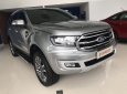 Ford Everest 2019 - Cần bán xe Ford Everest đời 2019, nhập khẩu nguyên chiếc