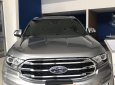 Ford Everest 2019 - Cần bán xe Ford Everest đời 2019, nhập khẩu nguyên chiếc