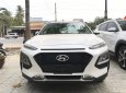 Hyundai Hyundai khác 2019 - Hyundai Kona 2019 (đủ màu) SX 2019 giá 616tr, hỗ trợ vay 90%, nợ xấu