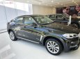 BMW X6   2019 - Cần bán BMW X6 XDrive35i đời 2019, nhập khẩu