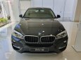 BMW X6   2019 - Cần bán BMW X6 XDrive35i đời 2019, nhập khẩu