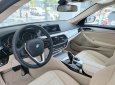 BMW 5 Series 2019 - BMW 5 Series 520i, màu trắng, nhập khẩu Đức, sang trọng, đẳng cấp