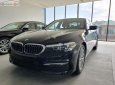 BMW 5 Series   2019 - Bán BMW 525i đời 2019, màu đen, xe nhập