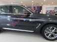 BMW X3 2019 - Bán ô tô BMW X3 năm 2019, màu xanh