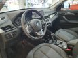 BMW X1 sDrive18i 2019 - Bán BMW X1 sDrive18i đời 2019, màu đen, nhập khẩu nguyên chiếc
