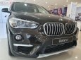 BMW X1 sDrive18i 2019 - Bán BMW X1 sDrive18i đời 2019, màu đen, nhập khẩu nguyên chiếc