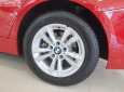 BMW 3 Series 320i 2019 - Bán BMW 3 Series 320i đời 2019, màu đỏ, xe nhập