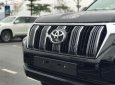 Toyota Land Cruiser Prado VX 2.7L 2019 - Bán Toyota Land Cruiser Prado VX 2.7L đời 2019, màu đen, nhập khẩu