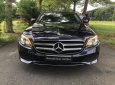 Mercedes-Benz E class E250 2017 - Mercedes Phú Mỹ Hưng cần bán E250 lướt 25000km, còn mới, giá tốt