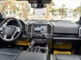 Ford F 150 Raptor 2019 - Bán xe Ford F 150 Raptor sản xuất năm 2019, màu đen, nhập khẩu
