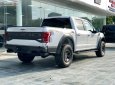 Ford F 150 Raptor 2019 - Bán xe Ford F 150 Raptor 2019, màu trắng, nhập khẩu