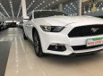 Ford Mustang 2017 - Cần bán xe Ford Mustang sản xuất 2017, màu trắng, nhập khẩu nguyên chiếc