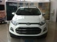 Ford EcoSport   Titanium 1.5  2019 - Bán Ford EcoSport Titanium 1.5 năm 2019, màu trắng