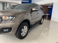 Ford Everest 2019 - Bán Ford Everest năm 2019, màu vàng, nhập khẩu, giá chỉ 949 triệu