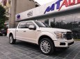 Ford F 150 2019 - Bán Ford F150 Limited 2019 USA giao xe ngay toàn quốc