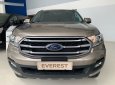 Ford Everest 2019 - Bán Ford Everest năm 2019, màu vàng, nhập khẩu, giá chỉ 949 triệu