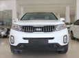 Kia Sorento 2019 - Bán xe Kia Sorento GATH 2.4AT model 2019, lướt odo 17000km, giá thương lượng