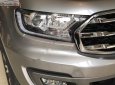 Ford Everest 2019 - Bán Ford Everest đời 2019, màu bạc, nhập khẩu