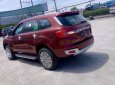 Ford Everest   2019 - Bán Ford Everest sản xuất 2019, màu đỏ, nhập khẩu