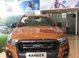 Ford Ranger 2019 - Bán Ford Ranger Wildtrak 2.0L 4x4 AT đời 2019, màu vàng, nhập khẩu