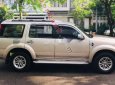 Ford Everest 2009 - Bán Ford Everest sản xuất 2009, màu vàng