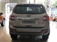 Ford Everest 2019 - Bán Ford Everest đời 2019, màu bạc, nhập khẩu