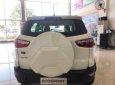 Ford EcoSport 2019 - Bán ô tô Ford EcoSport 2019, mới hoàn toàn