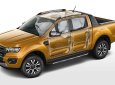 Ford Ranger 2019 - Bán Ford Ranger 2019 KM khủng, vay ngân hàng lên đến 90%, 120tr giao xe tận nhà