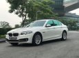 BMW 5 Series 2014 - Bán xe BMW 520i 2.0AT 2014 - 1 tỷ 79 triệu bao test hãng toàn quốc