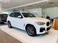 BMW X3 2019 - Cần bán BMW X3 xDrive20i đời 2019, màu trắng, xe nhập