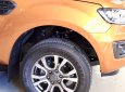 Ford Ranger 2019 - Cần bán Ford Ranger 2019 Wildtrak với chính sách ưu đãi đến 55 triệu, xe có đủ màu trong kho sẵn sàng giao ngay