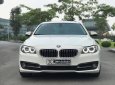 BMW 5 Series 2014 - Bán xe BMW 520i 2.0AT 2014 - 1 tỷ 79 triệu bao test hãng toàn quốc