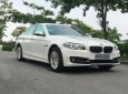 BMW 5 Series 2014 - Bán xe BMW 520i 2.0AT 2014 - 1 tỷ 79 triệu bao test hãng toàn quốc