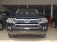 Toyota Land Cruiser 2016 - Bán Toyota Land Cruiser VX sản xuất 2016, đăng ký công ty