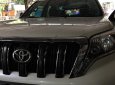 Toyota Prado TXL AT 2016 - Xe Toyota Prado TXL AT năm 2016, màu trắng, xe nhập  