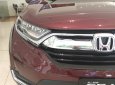 Honda CR V L 2019 - Bán Honda CRV cao cấp 2019 phiên bản tự động